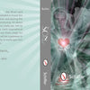 The Son Tarot by Schiffer Publishing, Ltd. features a mystical male face, glowing red heart, and tarot cards on its cover, celebrating gay tarot and masculine spirituality from the gay male perspective.