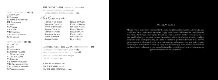 An open page of The Son Tarot from Schiffer Publishing, Ltd. shows a table of contents with self-realization cards and tarot sections on the left, and a white-on-black author note about new beginnings and masculine spirituality on the right.