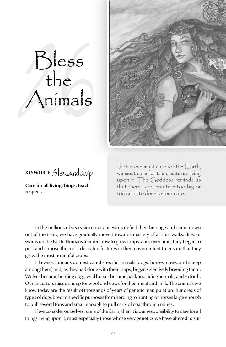 A page from Bless the Animals features stewardship text and leaf art with a highlighted passage, pairing beautifully with The Stone Circle Oracle by Schiffer Publishing, Ltd. for self-exploration and meditation.