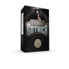 A box of Tarot Gothica by Schiffer Publishing, Ltd.—a gothic tarot deck featuring artwork of a woman with bat wings, a dark background, and a silver coin on the front.