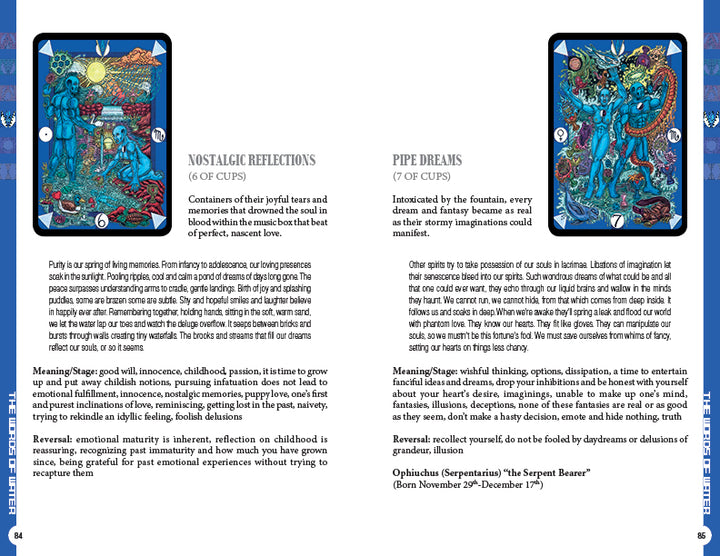 Tarot D by Schiffer Publishing, Ltd. includes two illustrated cards featuring detailed fantasy art. Poetic mythology explains each card’s meanings and keywords, all set on a white background with blue decorative borders.