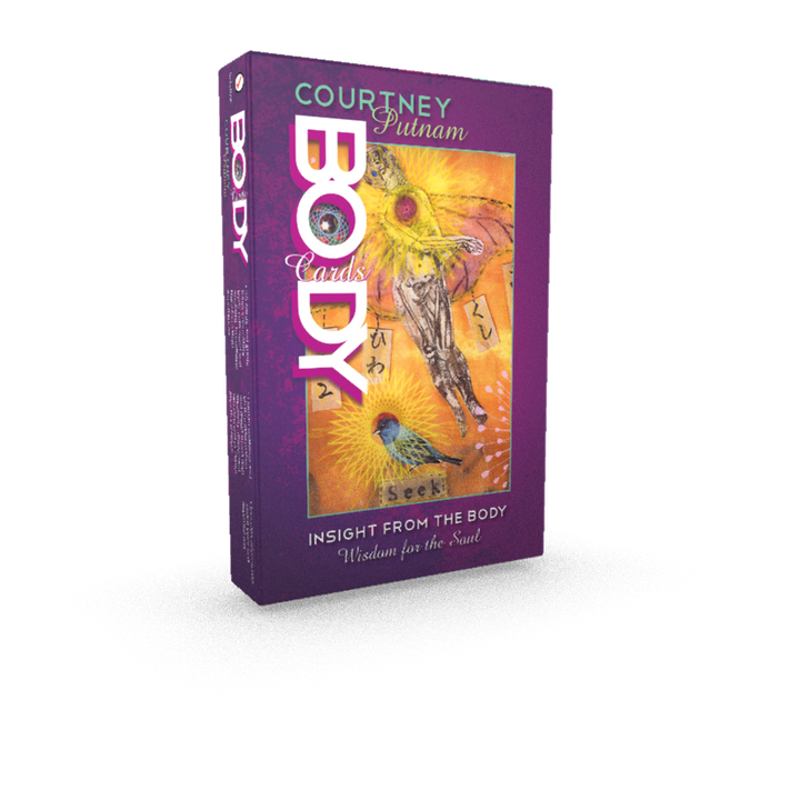 A purple box titled Body Cards by Schiffer Publishing, Ltd. showcases vivid art of a winged figure and bird with "Seek" and symbols. This unique deck offers body wisdom and soulful guidance.