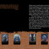 A two-page spread from *The Promethean Oracle* by Schiffer Publishing, Ltd. showcases a black and brown patterned background, a quote with text on the left, and six chakra animal oracle cards with mystical designs for personal divination.