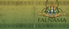 The Falnama book by Schiffer Publishing, Ltd. features a green ornate cover inspired by Persian miniatures and Islamic manuscripts, depicting a woman in flowing robes and elaborate headdress sitting cross-legged within a decorative frame.