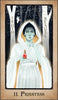 A mystical woman in a white hooded robe stands in a snowy forest with a red potion, as TRUTH and BEAUTY appear on trees—reflecting Transcendentalism—on the II. PRIESTESS card from The American Renaissance Tarot by Schiffer Publishing, Ltd.