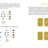 In "The Doors of Somlipith" by Schiffer Publishing, Ltd., one page shows mystical tarot patterns with suit symbols, calculations using black cards and Witnesses; the other offers a Practice Sheet with four card diagrams and step-by-step instructions.