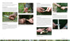 A two-page spread in Core Bushcraft by Schiffer Publishing, Ltd. features close-up photos of hands demonstrating essential knife grips and wood carving techniques, with descriptive text beside each step.