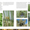A two-page book spread from Core Bushcraft by Schiffer Publishing, Ltd. shows images and descriptions of Meadowsweet, Common rush, Juniper, Common sagebrush, and Hawthorn—perfect for outdoor survival guidance.