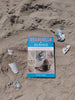 Seashells of Delmarva by Schiffer Publishing, Ltd. rests on the sand among shells, its cover showcasing Maryland and Virginia specimens—a perfect beachcombing guide.