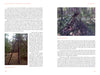Two pages from "Sasquatches" by Schiffer Publishing, Ltd. feature images and descriptions of large and small tipi-like wooden structures in forests, exploring their mysterious origins and possible links to Sasquatch activity.