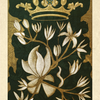The Tree Tarot by Schiffer Publishing, Ltd. features a Queen of Pentacles card adorned with white sassafras flowers and a golden crown bearing a pentacle, set against deep green leaves to represent forest wisdom. The word “Sassafras” is displayed at the top.