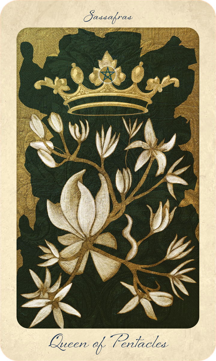 The Tree Tarot by Schiffer Publishing, Ltd. features a Queen of Pentacles card adorned with white sassafras flowers and a golden crown bearing a pentacle, set against deep green leaves to represent forest wisdom. The word “Sassafras” is displayed at the top.