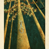 Towering redwood trees reach skyward as sunlight filters through their leaves, evoking the timeless wisdom of ancient forests. A blue infinity symbol adorns the central tree. The card displays “09” at the top and “Redwood—Strength” at the bottom, making it a striking addition to The Tree Tarot by Schiffer Publishing, Ltd.