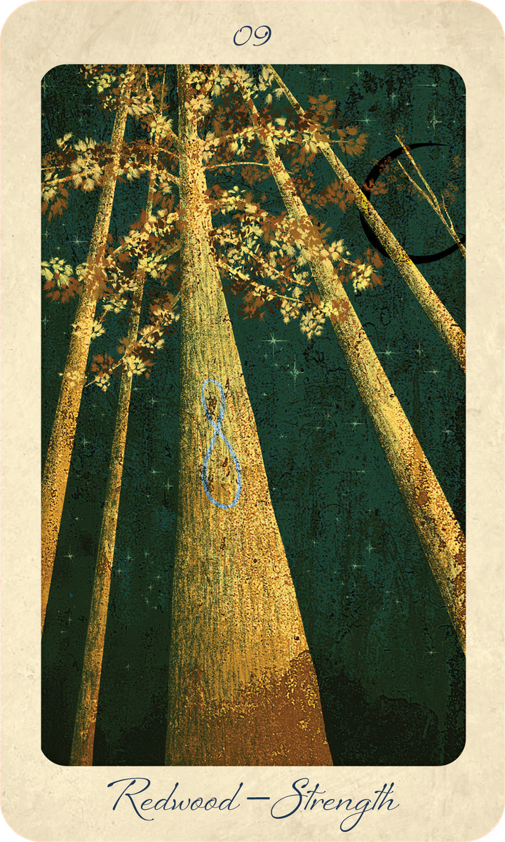 Towering redwood trees reach skyward as sunlight filters through their leaves, evoking the timeless wisdom of ancient forests. A blue infinity symbol adorns the central tree. The card displays “09” at the top and “Redwood—Strength” at the bottom, making it a striking addition to The Tree Tarot by Schiffer Publishing, Ltd.