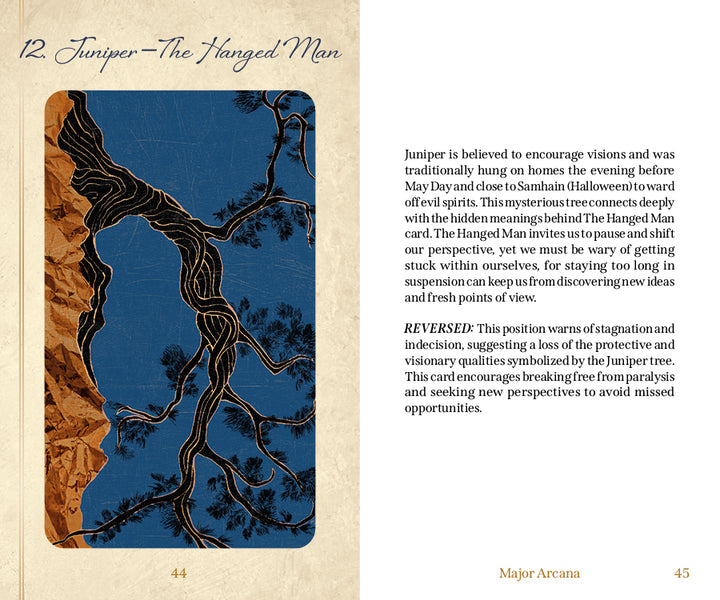 Here’s a revised sentence incorporating your product data: The Tree Tarot by Schiffer Publishing, Ltd. includes a card titled Juniper—The Hanged Man, which showcases a stylized tree against a blue and brown background; accompanying descriptive text explores the card’s meaning, drawing on forest wisdom to explain both its upright and reversed interpretations.