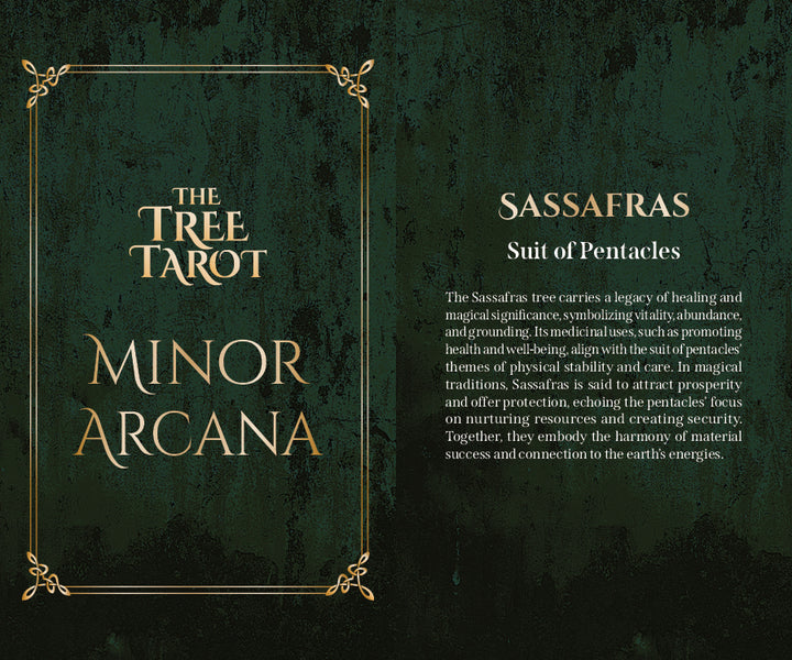 A green and gold tarot card from Schiffer Publishing, Ltd.’s The Tree Tarot, Minor Arcana, describes the Suit of Pentacles and features the sassafras tree—symbolizing healing, abundance, stability, and protection—to offer forest wisdom for your spiritual journey.