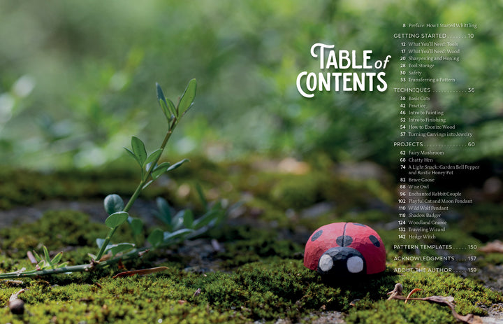 A painted ladybug rock rests on green moss amid scattered twigs and small plants, capturing the spirit of beginner carving projects and sparking inspiration for nature-themed whittling ideas from Adventure Whittling by Schiffer Publishing, Ltd. The table of contents text appears overlaid on the right side of the image.