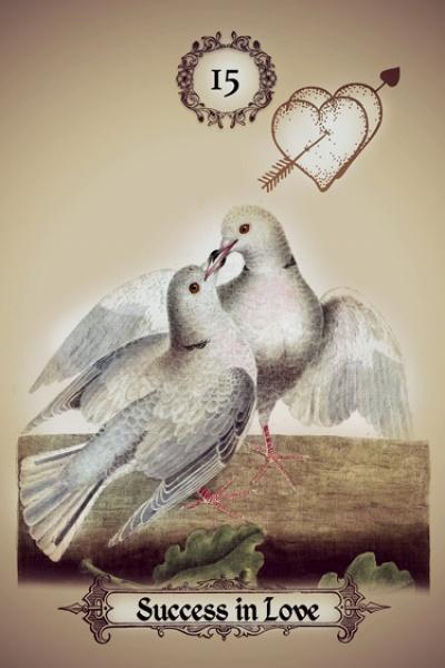 Two pigeons affectionately touch beaks on a branch beneath the number 15, a pierced heart, and an arrow—an iconic Kipper oracle card image from The Art of Kipper Reading by Schiffer Publishing, Ltd. Below, a banner reads “Success in Love.”.