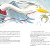 A large bird with a yellow beak flies over Chesapeake Bay, holding Chadwick the Crab by a red ribbon. The surprised crab dangles from the ribbon. Text from "A Chadwick Treasury" by Schiffer Publishing, Ltd. appears on both pages.