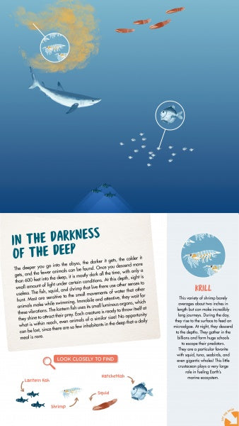 An illustrated infographic from "The Sea" by Schiffer Publishing, Ltd. reveals whales, krill, and fish at various depths, with circular insets highlighting krill and deep-sea creatures—ideal for ocean animal books or panoramic fold-out posters.