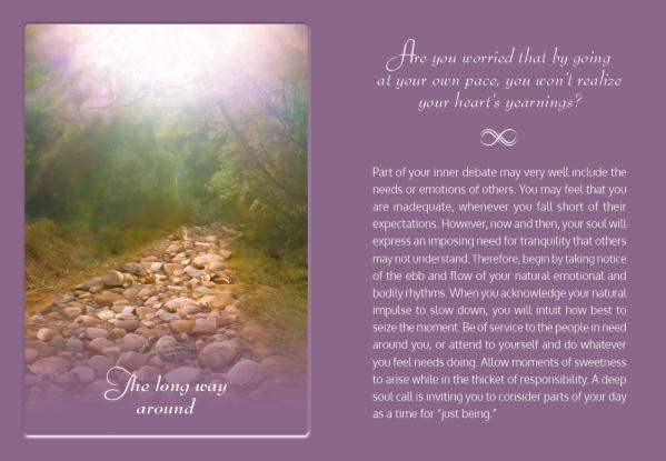 A tranquil path winds through a sun-dappled forest in soft purple and green hues. Overlaid text from TLC for the Soul by Schiffer Publishing, Ltd. offers gentle guidance on moving at your own pace and honoring your heart’s desires.