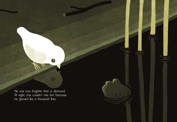 A white bird stands by a pond under the night sky, gazing at a glowing frog in shimmering reeds. Perfect for emerging readers, "The Bird Who Swallowed a Star" from Schiffer Publishing, Ltd. is a radiant tale of inclusion and self-discovery.