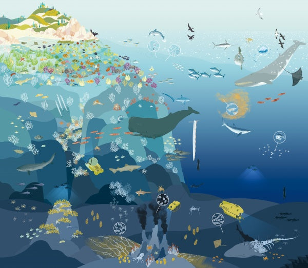 Discover the secrets of the sea with "The Sea" by Schiffer Publishing, Ltd.—an ocean animals book featuring a panoramic fold-out poster of islands, coral reefs, whales, sharks, submersibles, and deep-sea vents.