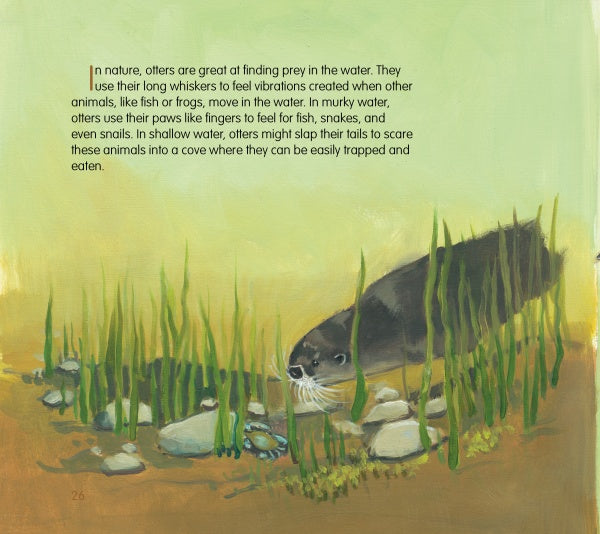 In Saving Squeak by Schiffer Publishing, Ltd., an otter swims among plants and rocks as text explains how wildlife rehab teaches rescued otters to use whiskers and paws to find prey in murky or shallow water.
