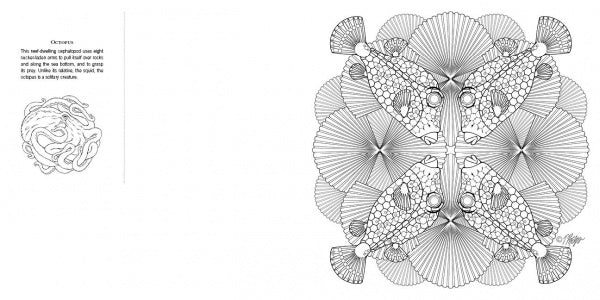 A black-and-white illustration from Schiffer Publishing, Ltd.'s "Animal Life" shows four ornate boxfish arranged symmetrically with fanned fins and tails, plus a small octopus drawing—great for nature coloring book fans.