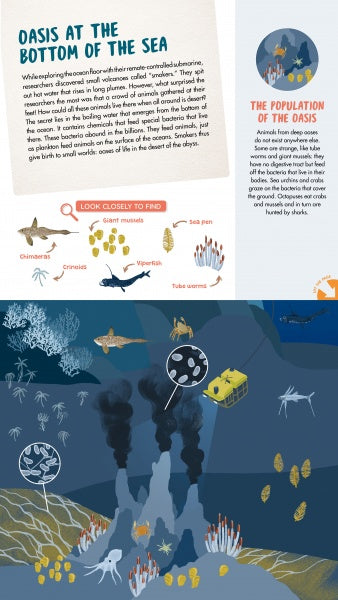 Discover the wonders of the deep with "The Sea" by Schiffer Publishing, Ltd.—a panoramic poster featuring a submarine, lava vents, sea creatures, and chimera, revealing unique animal life and secrets of deep-sea exploration.
