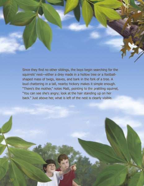 Two boys stand among lush leaves, gazing up at a baby squirrel and its nest. One points excitedly, dreaming of a rescue adventure like "Squirrel Rescue" by Schiffer Publishing, Ltd.