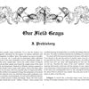 A decorative black-and-white page in Feldgrau 1915-16 by Schiffer Publishing, Ltd. features ornate vines and a drop cap "U," exploring the evolution of German Army uniforms and the origins of feldgrau in military history.
