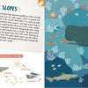 In "The Sea" by Schiffer Publishing, Ltd., an illustrated spread reveals a sperm whale near coral and fish, features whale facts on the left, and a “look closely to find” section with small fish images on the right.