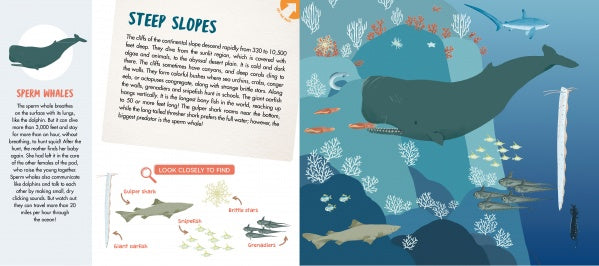 In "The Sea" by Schiffer Publishing, Ltd., an illustrated spread reveals a sperm whale near coral and fish, features whale facts on the left, and a “look closely to find” section with small fish images on the right.