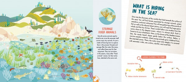 Illustration of a lively, shallow ocean near rocks from "The Sea" by Schiffer Publishing, Ltd., featuring colorful coral, fish, turtles, seaweed, and more. The right page unveils sea secrets and lists hidden creatures for readers to discover.