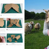 Step-by-step instructions for creating a cardboard wolf mask are shown on the left; on the right, a child playfully wears the finished mask outdoors—featured in Cut It! by Schiffer Publishing, Ltd. for fun kids paper crafts and art projects.