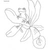 A simple line drawing of a frog on a five-petal flower with detailed leaves, perfect for coloring or inspiring DIY chair projects in "Decorating Chairs: 7 Painting Projects" by Schiffer Publishing, Ltd.