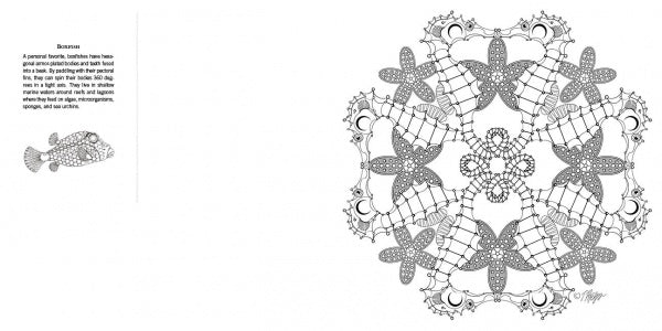 Animal Life by Schiffer Publishing, Ltd. features a black and white mandala illustration of fish, starfish, and sea creatures in a circular pattern—ideal for meditative coloring. Includes a small fish drawing and info about boxacaras.