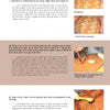 Chip-Carving Gourds by Schiffer Publishing, Ltd. is a how-to guide with step-by-step photos for repairing chips, using masking tape for compass points, and polishing carved gourds, featuring close-ups of surfaces and hands at work.