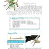 Mixed Media Jewelry Techniques by Schiffer Publishing, Ltd. features a beaded bee pin with green wings displayed above step-by-step instructions, materials list, and photos of wire and pliers for unique jewelry creation.
