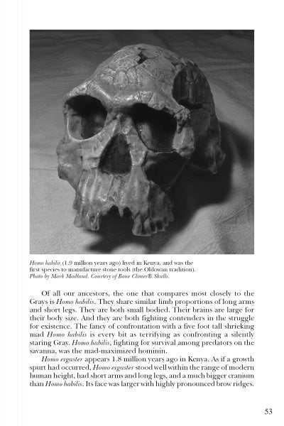 A black and white photo of a Homo habilis skull fossil, featured in "Evolutionary UFOlogy" by Schiffer Publishing, Ltd., highlights a key stage in human evolution with caption and descriptive text included beneath the image.
