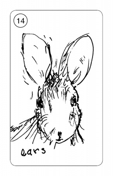 A black and white sketch of a rabbit’s face with large ears. The number 14 is in a circle at the top left, and "ears" is written at the bottom—a unique card from Carrot Cards by Schiffer Publishing, Ltd.
