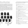 ‘Pistis Sophia’ Tarot guidebook spread by Schiffer Publishing, Ltd. features a floral illustration with 12 numbered card positions and text explaining each position’s meaning, inspired by the deck’s focus on appearances and perceptions.