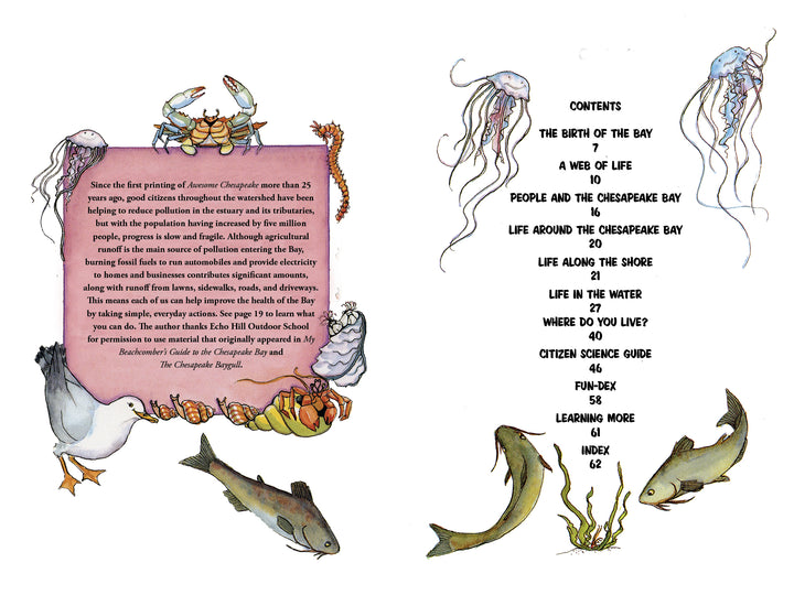A two-page spread from "Awesome Chesapeake" (Schiffer Publishing, Ltd.): left, a decorative intro box with heron, gull, crab, and fish; right, an illustrated elementary-level table of contents bordered by jellyfish and fish.