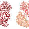 Little Paper Universes by Schiffer Publishing, Ltd. features vibrant coral illustrations—a large red branch on the left and two smaller orange and red corals on the right—perfect for 3-D paper scenes and paper art projects on a white background.
