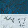 A blue-toned image from Like a Tree by Schiffer Publishing, Ltd. shows tangled branches above; below, a diagram compares deer antlers with oak, beech, and chestnut branches beside a deer and the words I get lost.