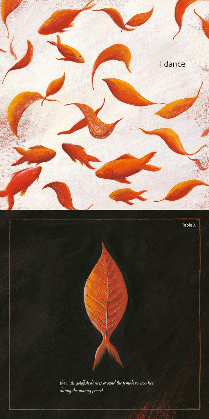 A group of orange goldfish, some leaf-shaped, swim on white with the words "I dance" in Schiffer Publishing's "Like a Tree." Below, a goldfish with a leaf tail swims on black, showing courtship and natural symmetry.