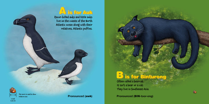 From "P Is for Puffin" by Schiffer Publishing, Ltd.: One page shows two black and white auks on snow with “A is for Auk”; opposite, a binturong lounges on a branch with “B is for Binturong”—a playful intro to endangered species.